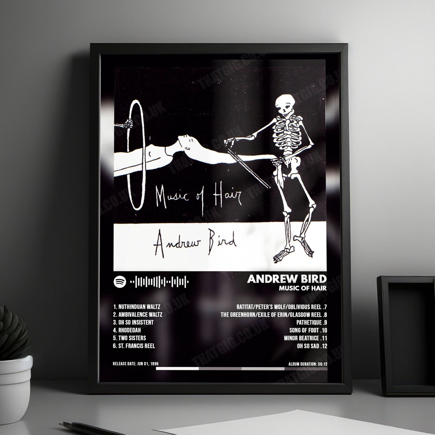 Andrew Bird "Music of Hair" Album Cover Poster - with Complete Tracklist