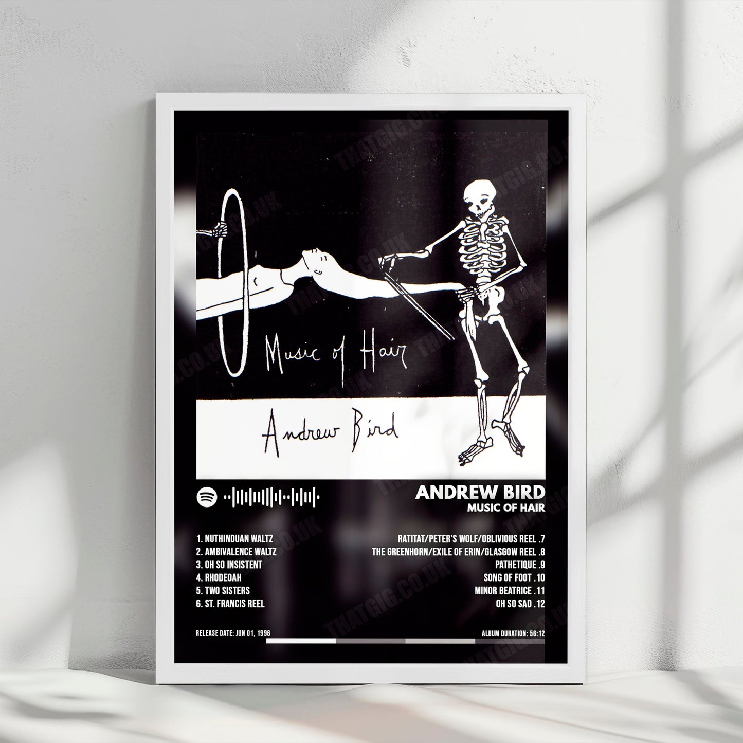 Andrew Bird "Music of Hair" Album Cover Poster - with Complete Tracklist