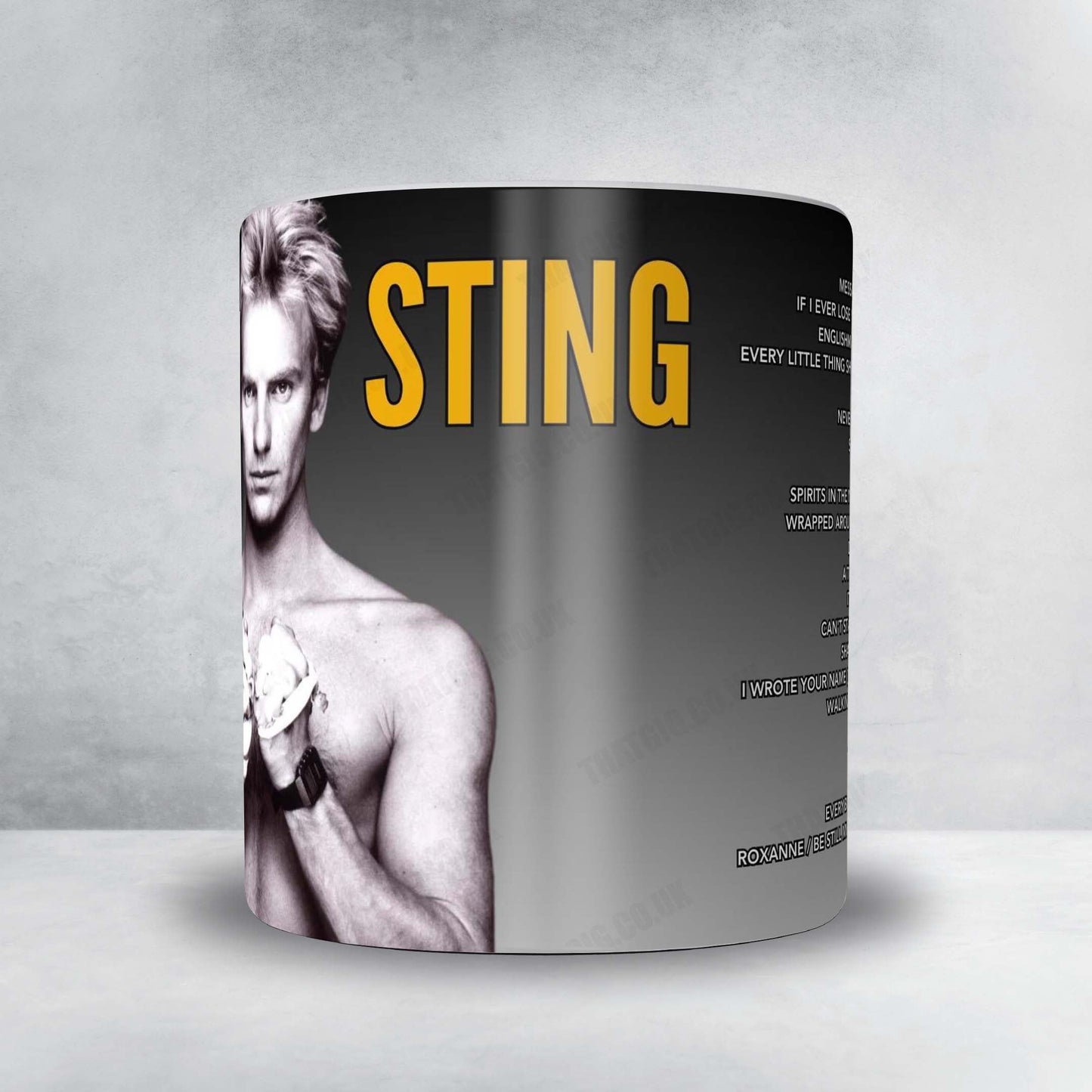 Sting Setlist Poster - Cardiff Castle, Cardiff - June 28th, 2025
