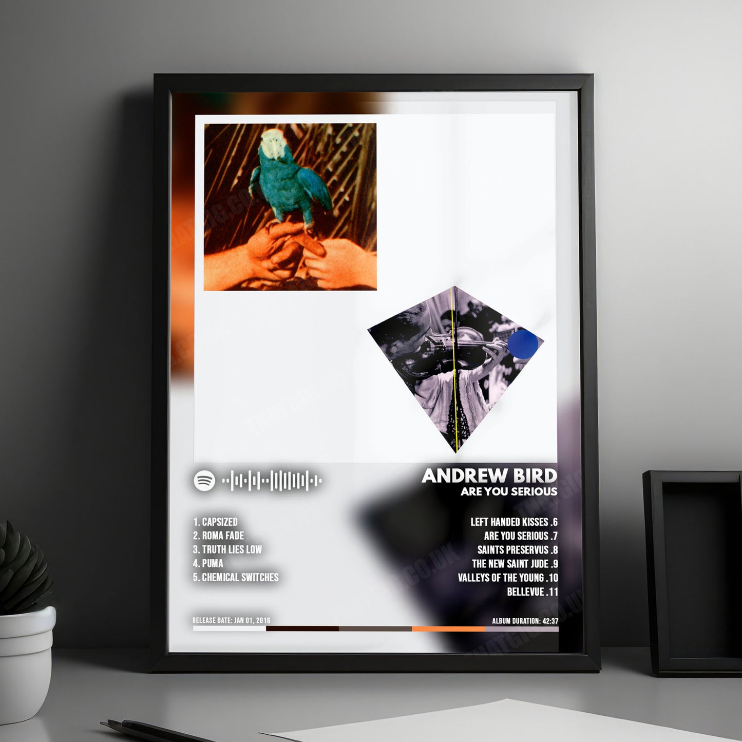 Andrew Bird "Are You Serious" Album Cover Poster - with Complete Tracklist