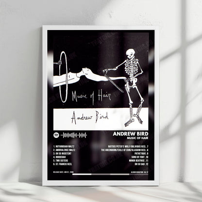 Andrew Bird "Music of Hair" Album Cover Poster - with Complete Tracklist