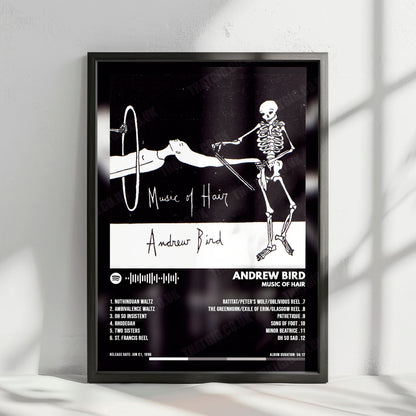 Andrew Bird "Music of Hair" Album Cover Poster - with Complete Tracklist