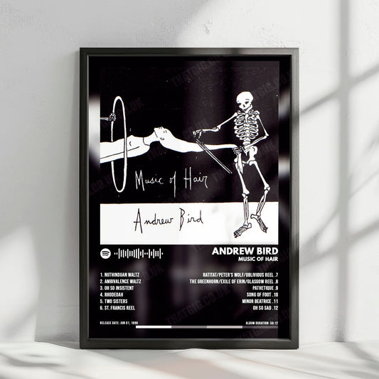 Andrew Bird "Music of Hair" Album Cover Poster - with Complete Tracklist